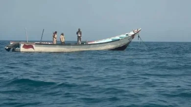 653647e7 C70f 41ed 9ce6 7700746998c6