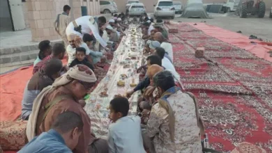 A8c87d51 F5bc 4308 Ad45 B1f200bb3a06