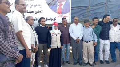 D5b9c6d6 C1d4 4536 945b C1932b6fb1a9