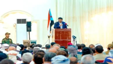 E1a661f0 6cd4 4ec8 A22d 98e127b3b89d