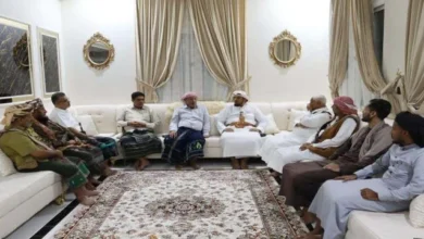 Ffbb6ca6 0047 4aa1 Bcf0 De47bc8566d5