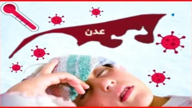 01a8472a 316d 4690 Bf50 F4eb4959972e