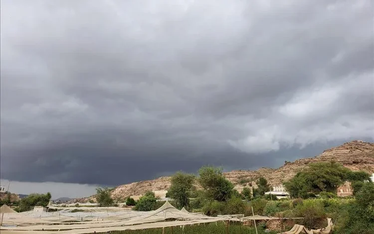 0847a335 B2f8 4a36 9d81 47bc1738da42