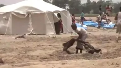 1c5ff49c Ae97 49c0 B95b Fec46dbb2eeb