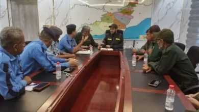 489612178 9409391315848282 2673089535600432110 N