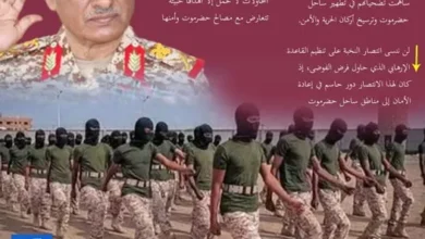 490447855 3495595303909477 864946860065773124 N