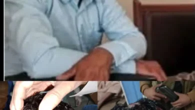 Img ٢٠٢٥٠٤٣٠ ١٩٤٧٣٩