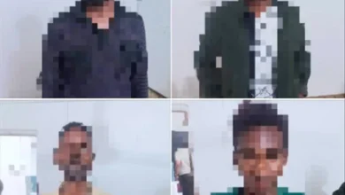 Da5e6da4 E65e 4520 Ba76 227c65124e7b