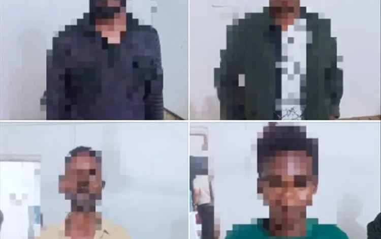 Da5e6da4 E65e 4520 Ba76 227c65124e7b