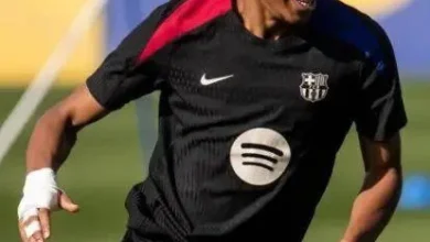 Hihi2 2025 04 21 22 59 39 783933