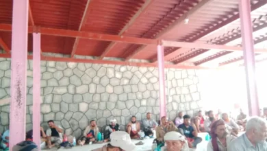 0f835ba2 880d 4c37 Ab18 Bce1868642e1