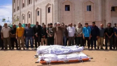 10ba9081 D715 4d7b A5e4 7b811106a256