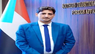 1167e0bf A437 4eda A307 39c8b64133d4