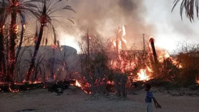 12ec1048 F7e1 4f64 94e4 5a99d79d5745