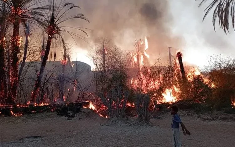 12ec1048 F7e1 4f64 94e4 5a99d79d5745