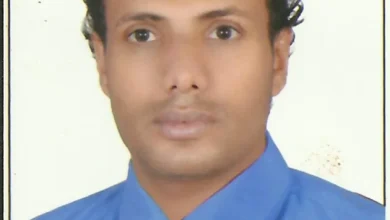 27 03 25 68063101