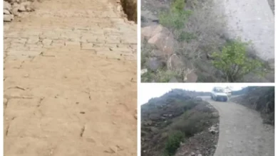 2b16c4d8 2b7f 4e36 8240 D062c6543332