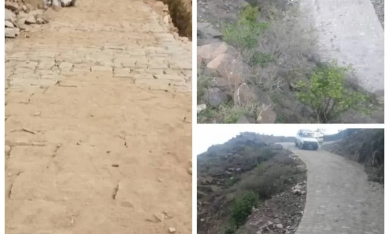 2b16c4d8 2b7f 4e36 8240 D062c6543332