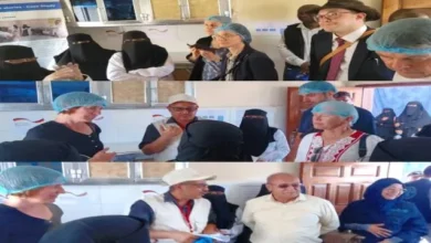 3303e056 6aa1 4525 Bb15 828c21400987