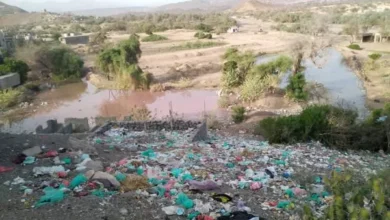 500279232 3051283171717176 971161652697939763 N