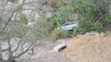 501594740 3059237987588361 2544574986872819918 N