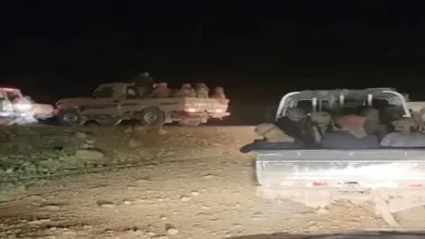 775239f3 63f5 44e6 929e 59b883fbbc80