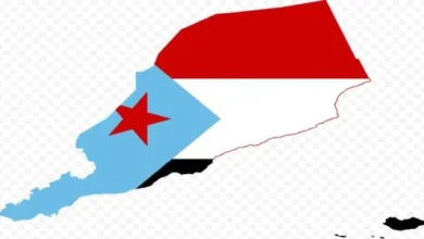 7910654f 8649 4729 85b3 8380bc1a01f5