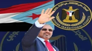 9a8d8118 Bf30 4ddc 8006 E83a826a41e7