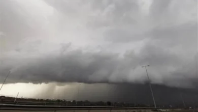 A10t 13 10 2024 07 05 39