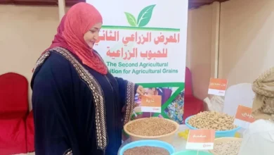 Fb Img 1747130978578