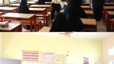 Img ٢٠٢٥٠٥٠٤ ١٧٤٧٠١