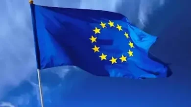 Img ٢٠٢٥٠٥١٣ ١٠٠٧٥٧