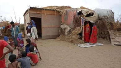 B0c3b236 1505 4f05 B823 Bdf106d631dc