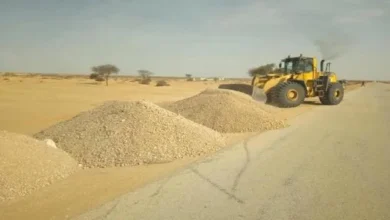 C42bf03a 5e9a 4d8f Bda0 198be7edd131