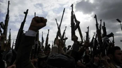 C52990b0 3f51 4f61 A0cb B5a2fd6f360c