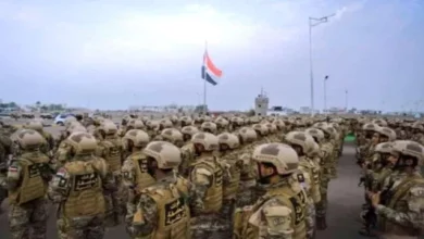 Eea3922c 2be7 4d63 B4c3 E1b4b9c35d2b