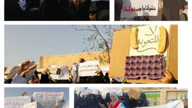 Photo ٢٠٢٥ ٠٥ ١٧ ٠٧ ٤٩ ٣٦