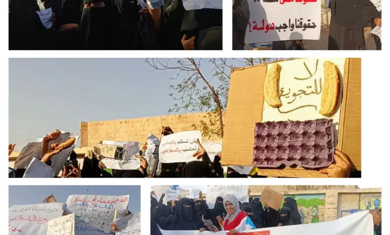 Photo ٢٠٢٥ ٠٥ ١٧ ٠٧ ٤٩ ٣٦