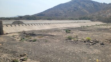 ٢٠٢٥٠٥٢٩ ٠٩١٨٤١