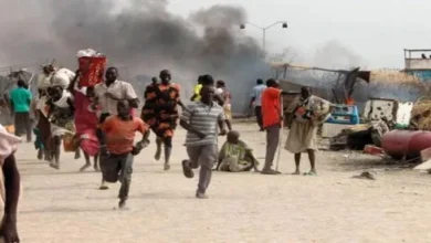 11fa61a4 F357 4d9f B372 9f1a1c870848