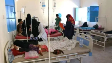 30 03 25 262840958 (1)