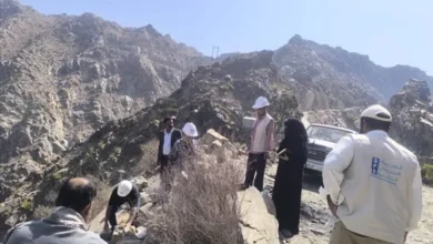 480aa15e 7d4d 4c07 89d9 2e260591b6af (1)