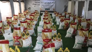 510964081 3094282294083930 2433433477516209288 N