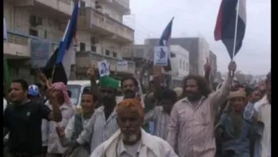 511721054 4244169939190625 8780058333491880679 N