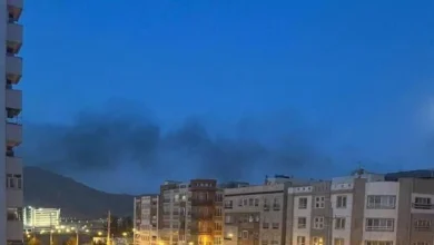 54f631a4 C405 49e3 Be20 733658ed6f4a