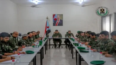 5eda3767 Fcf1 43f6 9ca8 8d6cb50e0efc