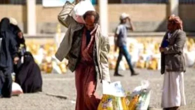 6e6612da Dcd0 4402 8ee3 F6e63193154e