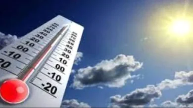 6e833e13 Ef02 414b B245 A01c163e1068