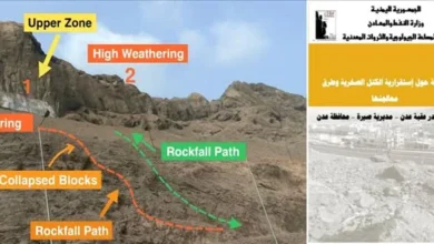 745d77c3 E1ea 465e Ba47 6f81e10fa647