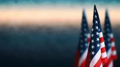 7b23f1e1 1408 4d12 A6a5 Ee349392cdfe